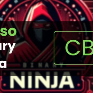 Binary Ninja